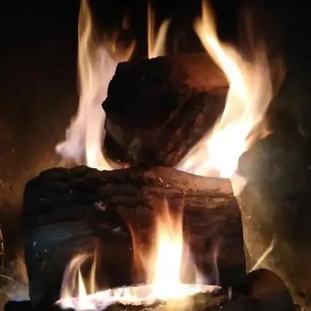 La Tana Dell'orso Apartment
