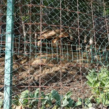 La Tana Dell'orso *